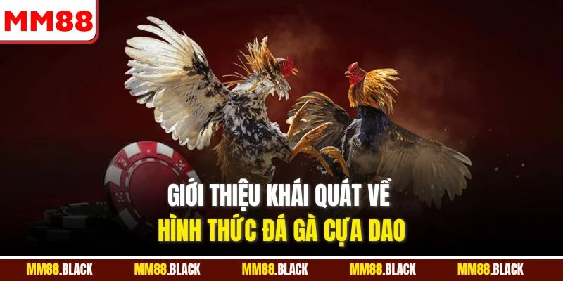 Giới thiệu khái quát về hình thức đá gà cựa dao
