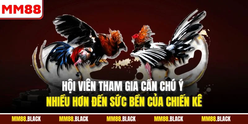 Hội viên tham gia cần chú ý nhiều hơn đến sức bền của chiến kê